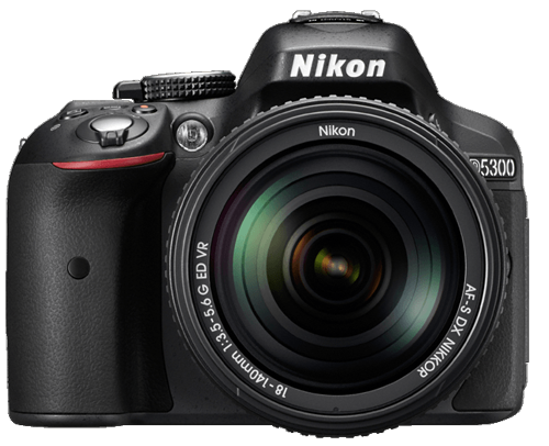 paste mud Odorless Nikon D5300 vs. Nikon D5600 - Camera Comparison